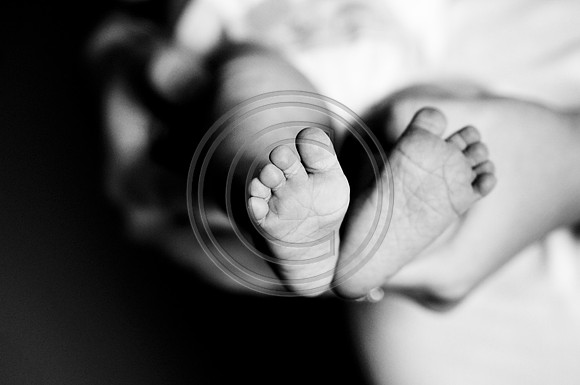 Hailey_Maeger_7wks-115.jpg