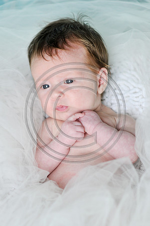 Hailey_Maeger_7wks-126.jpg