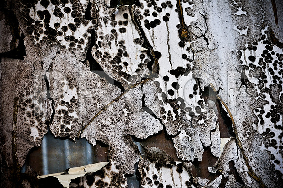 2009SUMMER_TEXTURES_GALVESTON-1045.jpg