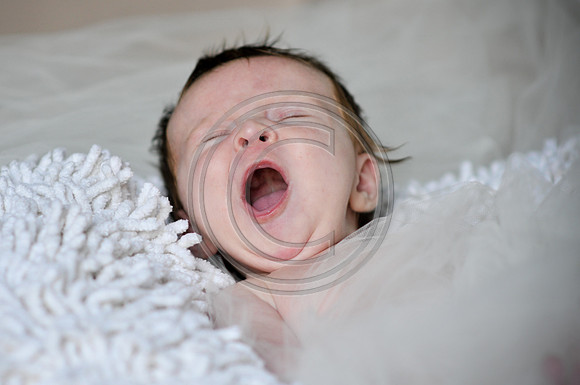 Hailey_Maeger_7wks-110.jpg