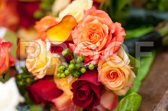 valarie-craig-wedding-9013