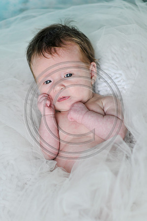 Hailey_Maeger_7wks-128.jpg