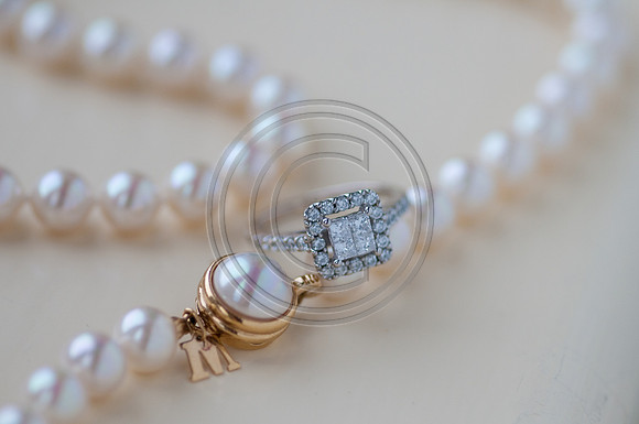 hollylasneskebridals-153