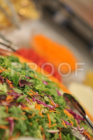 Stephanie-Peter-Wedding-1148