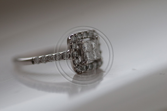 hollylasneskebridals-151