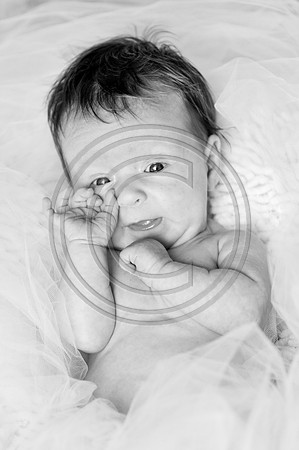 Hailey_Maeger_7wks-127.jpg