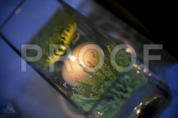 Stephanie-Peter-Wedding-1170