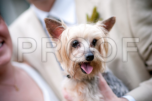 Stephanie-Peter-Wedding-1058