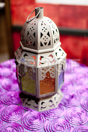 elizabeth_nelson_wed-123