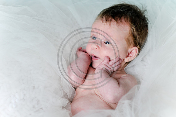 Hailey_Maeger_7wks-131.jpg