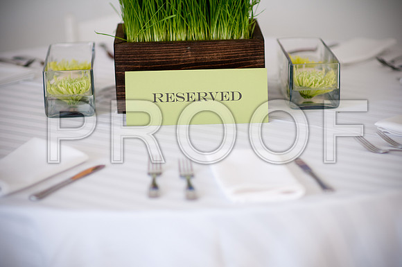 Stephanie-Peter-Wedding-1094