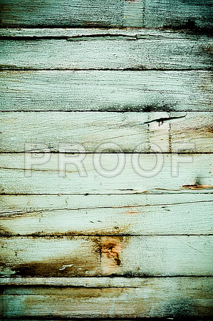2009SUMMER_TEXTURES_GALVESTON-1053.jpg