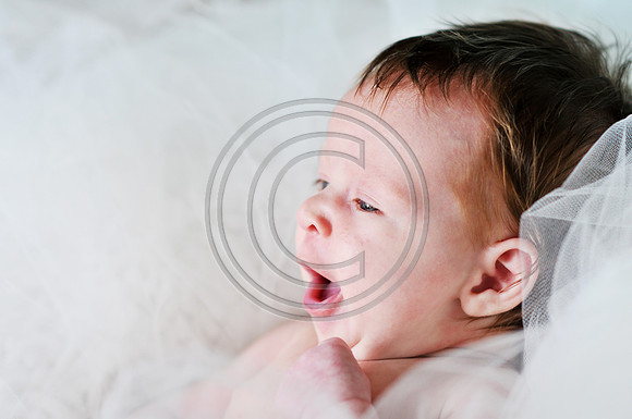 Hailey_Maeger_7wks-139.jpg