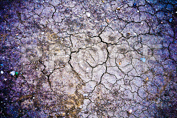 2009SUMMER_TEXTURES_GALVESTON-1065.jpg