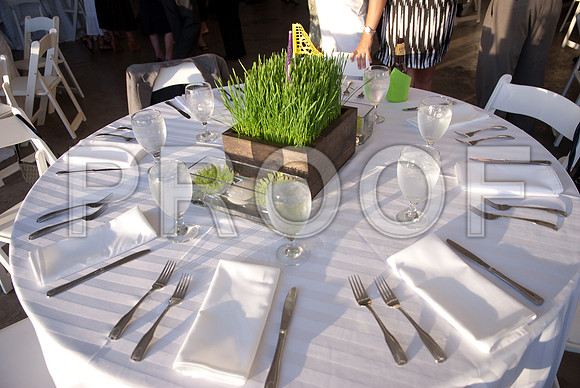 Stephanie-Peter-Wedding-1162