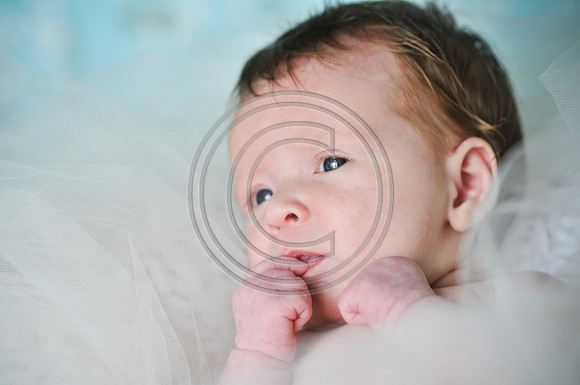 Hailey_Maeger_7wks-122.jpg