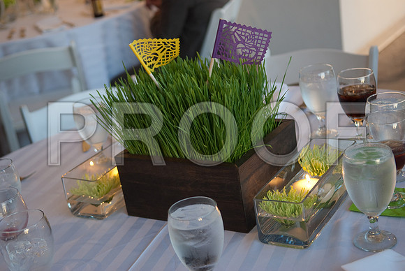 Stephanie-Peter-Wedding-1171