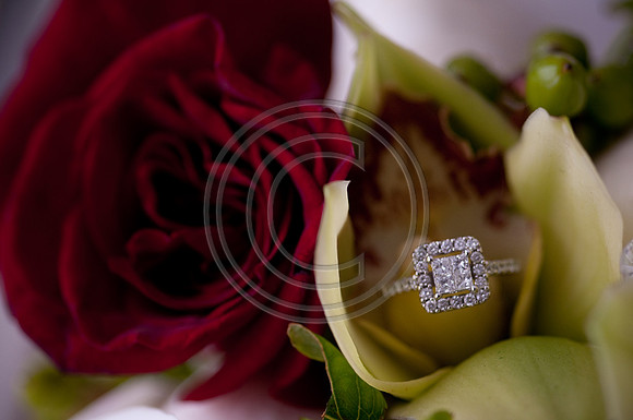 hollylasneskebridals-155