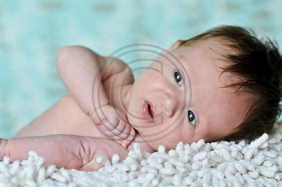 Hailey_Maeger_7wks-144.jpg