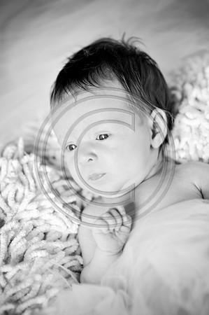 Hailey_Maeger_7wks-102.jpg