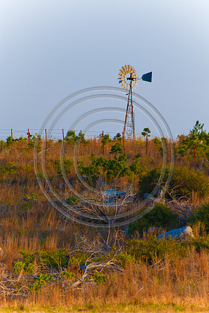 color_-1098.jpg