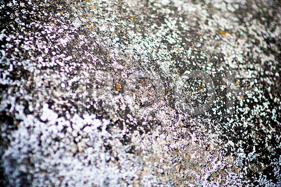 2009SUMMER_TEXTURES_GALVESTON-1024.jpg