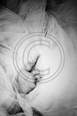 Hailey_Maeger_7wks-107bw.jpg