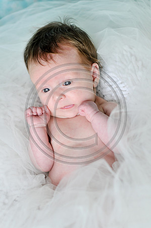 Hailey_Maeger_7wks-124.jpg