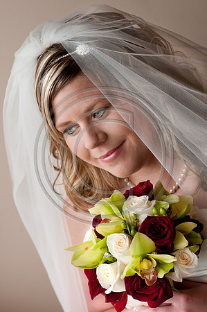 hollylasneskebridals-133