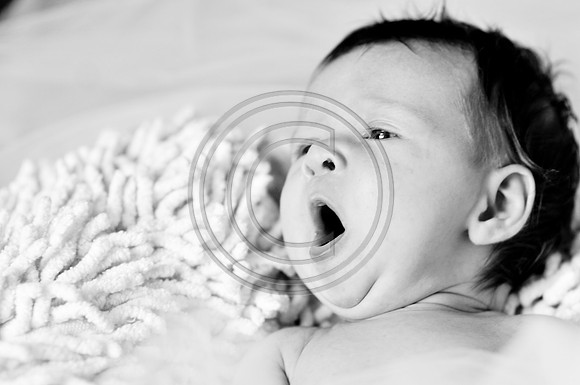 Hailey_Maeger_7wks-104.jpg