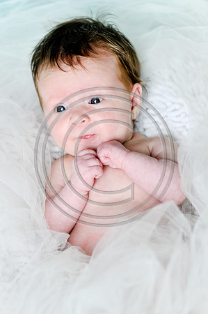 Hailey_Maeger_7wks-125.jpg