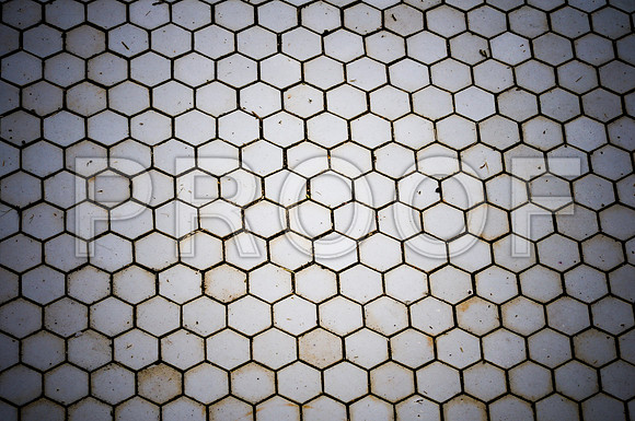 2009SUMMER_TEXTURES_GALVESTON-1027.jpg