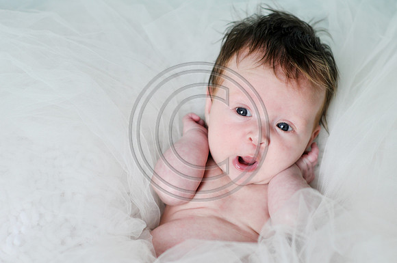 Hailey_Maeger_7wks-129.jpg