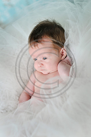 Hailey_Maeger_7wks-134.jpg