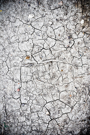 2009SUMMER_TEXTURES_GALVESTON-1048.jpg