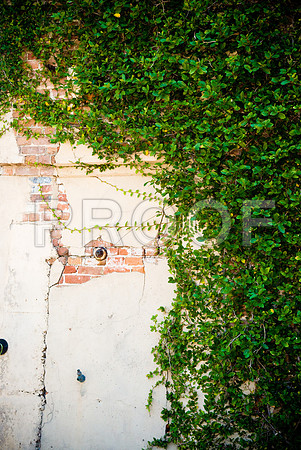 Tracey_WideLens-1032.jpg