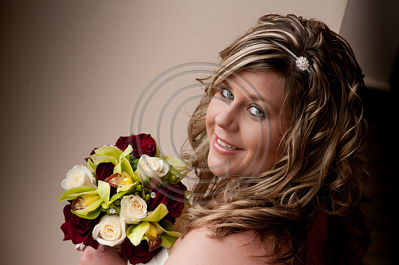 hollylasneskebridals-139