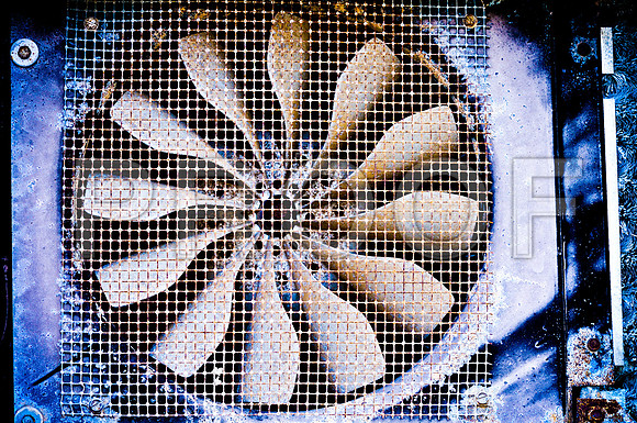 2009SUMMER_TEXTURES_GALVESTON-1066.jpg
