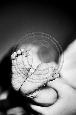 Hailey_Maeger_7wks-116.jpg