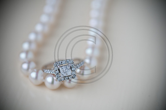hollylasneskebridals-154