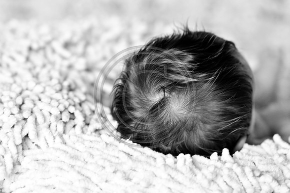 Hailey_Maeger_7wks-142.jpg