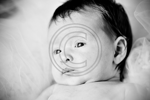 Hailey_Maeger_7wks-140.jpg