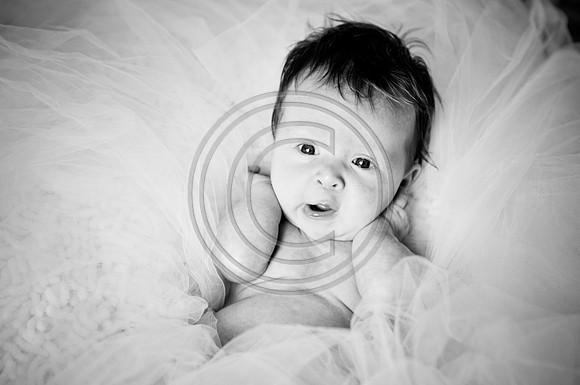 Hailey_Maeger_7wks-130.jpg