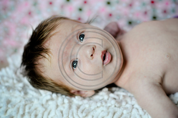 Hailey_Maeger_7wks-111.jpg