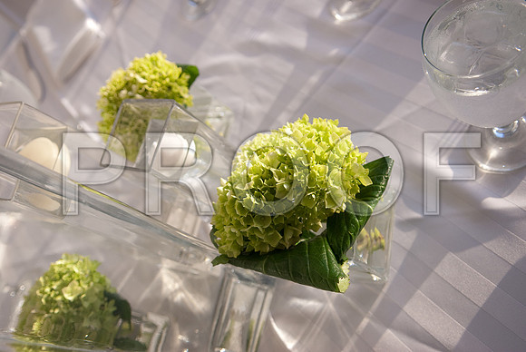 Stephanie-Peter-Wedding-1164