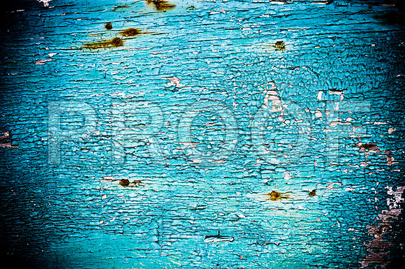 2009SUMMER_TEXTURES_GALVESTON-1054.jpg